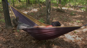 hanging a camping hammock